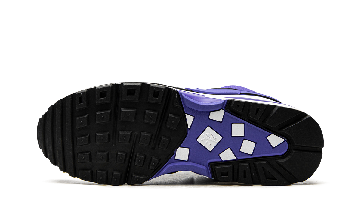 Air Max BW OG "Persian Violet (2021)" DJ6124 001